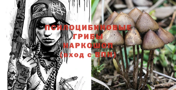 кристаллы Абинск