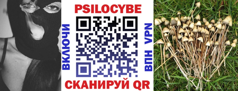 Галлюциногенные грибы мицелий  закладки  Разумное 